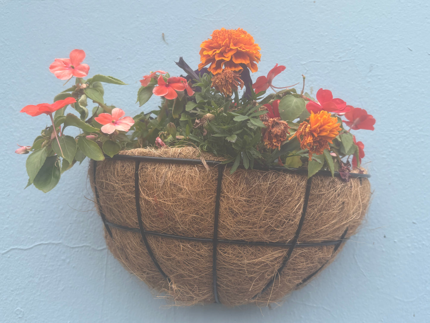 Half Moon Flower Baskets
