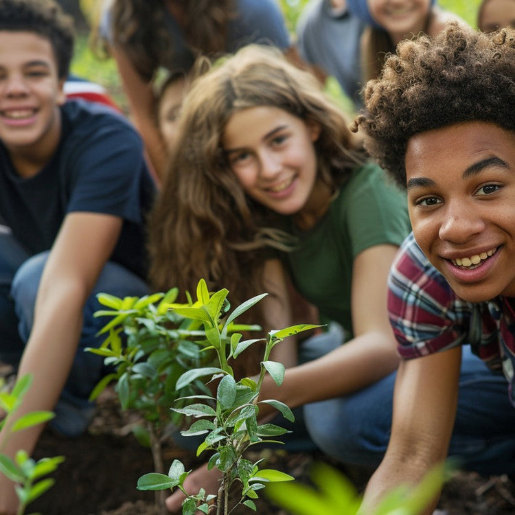 Teens/ Adult Grow Boxes