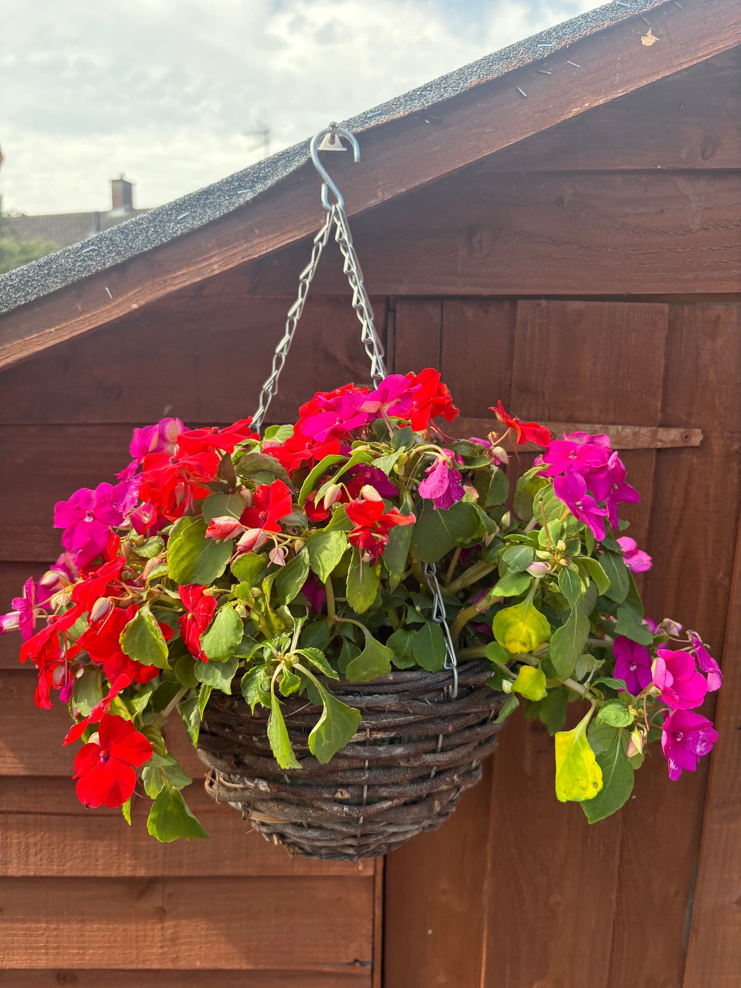 Fence Hanging Baskets