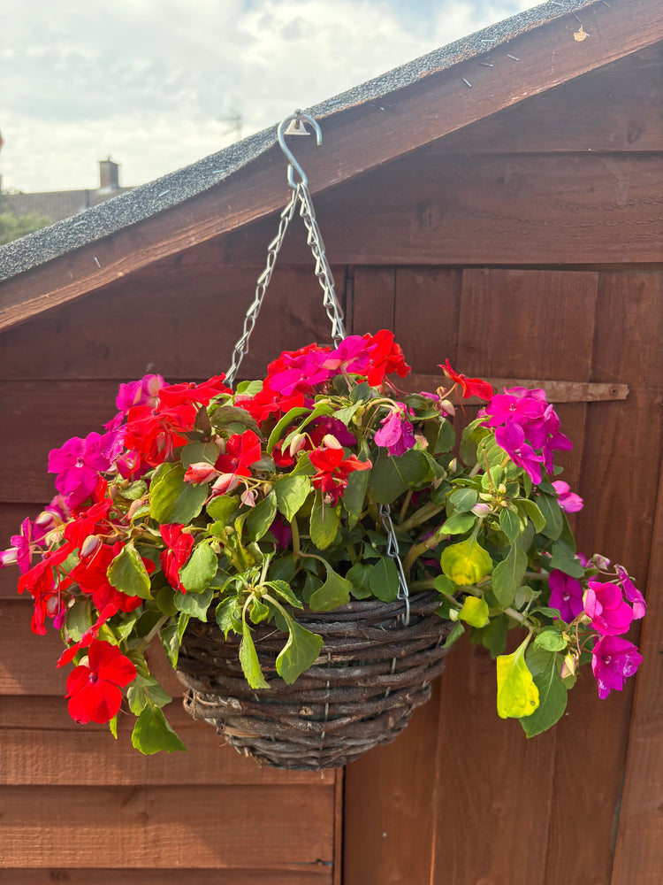 Fence Hanging Baskets