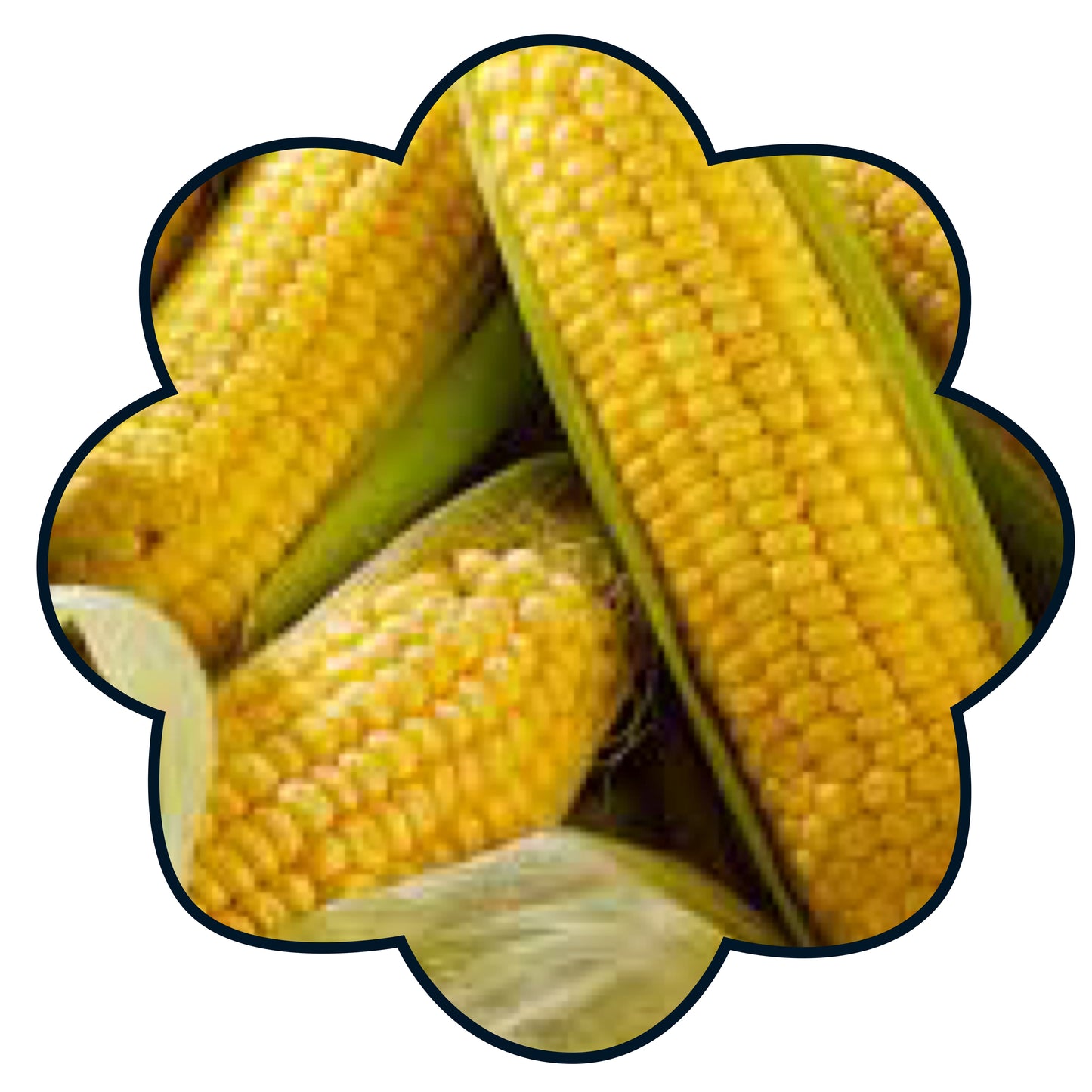 The Mighty Sweetcorn Box