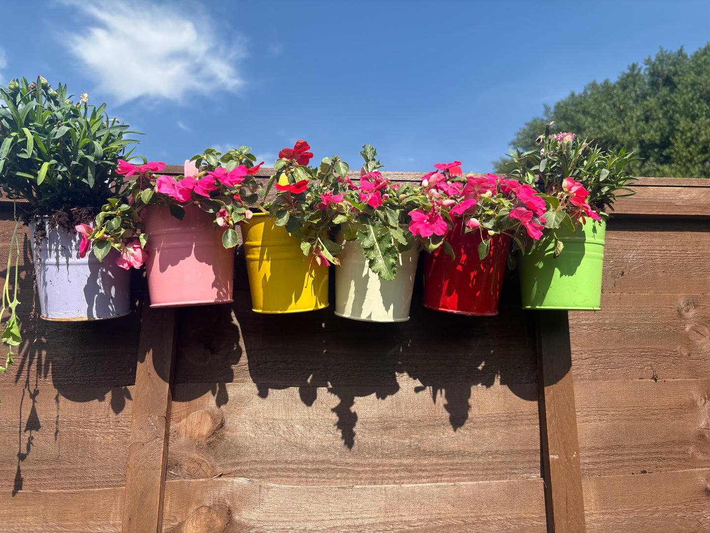 The Balcony Pot