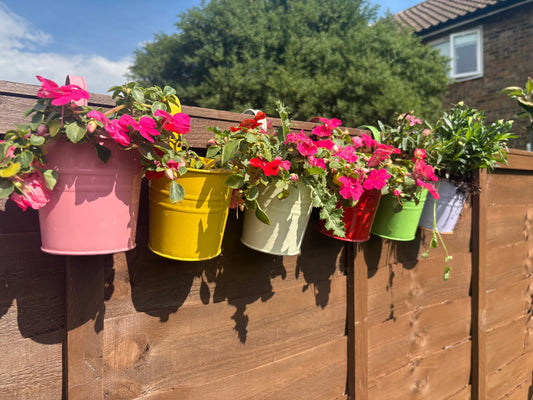 The Balcony Pot
