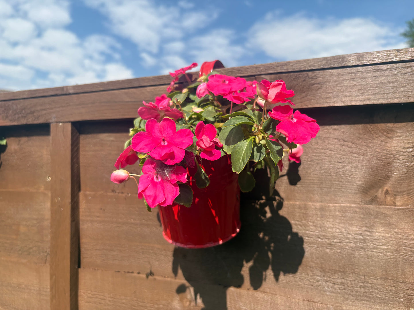 The Balcony Pot