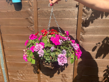 The Balcony Pot