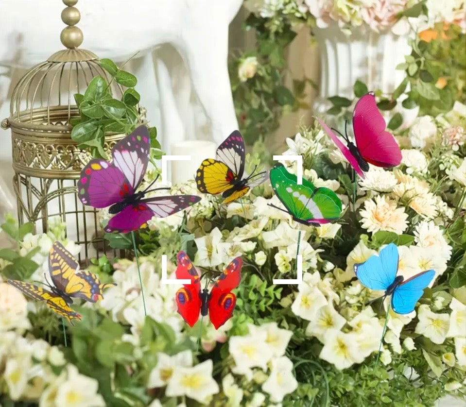 Garden Butterfly's