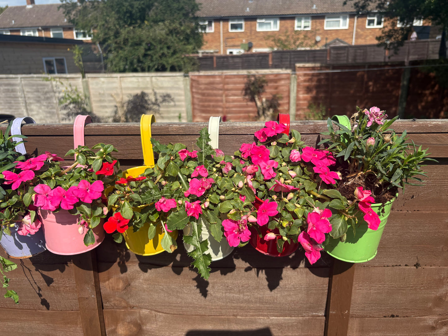 The Balcony Pot