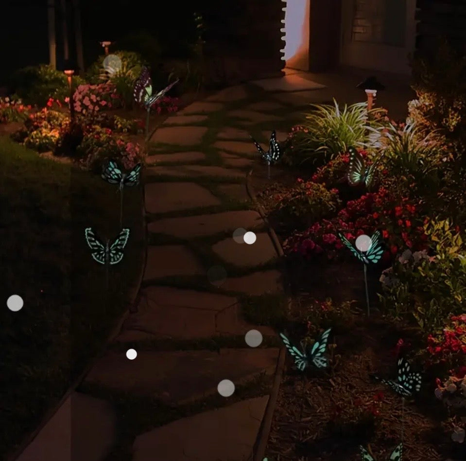 Glow In The Dark Butterfly's