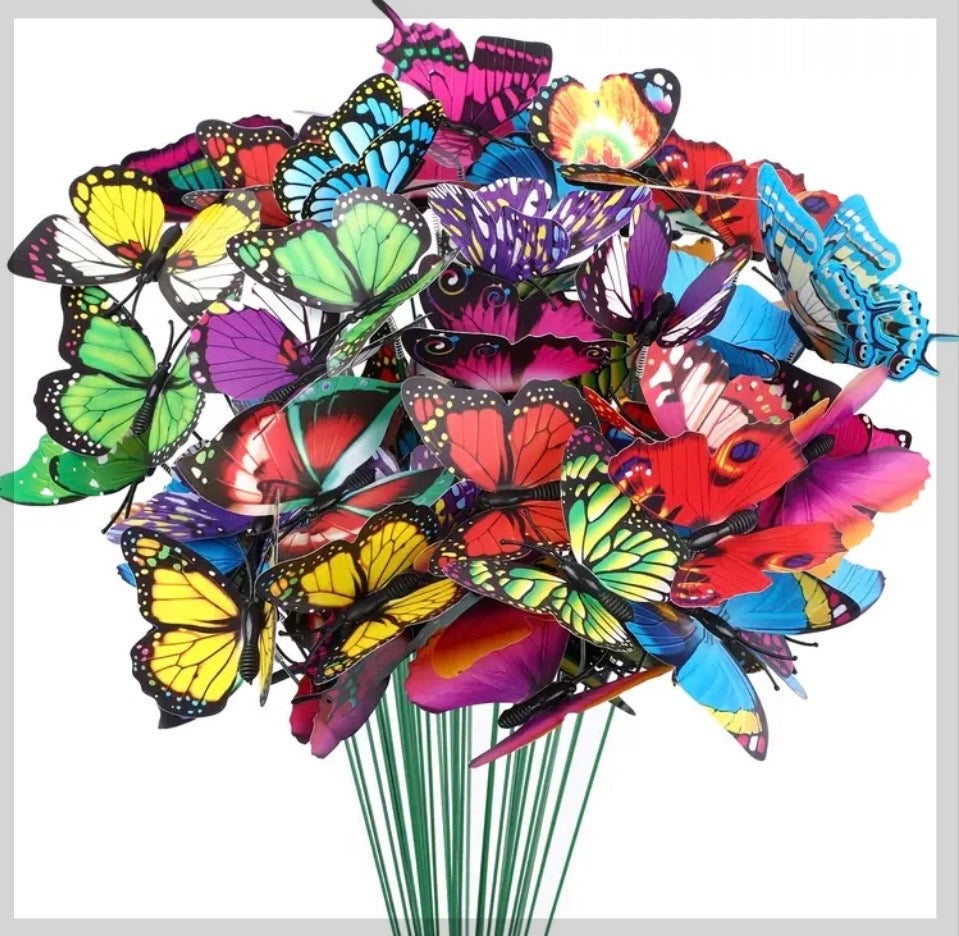 Garden Butterfly's