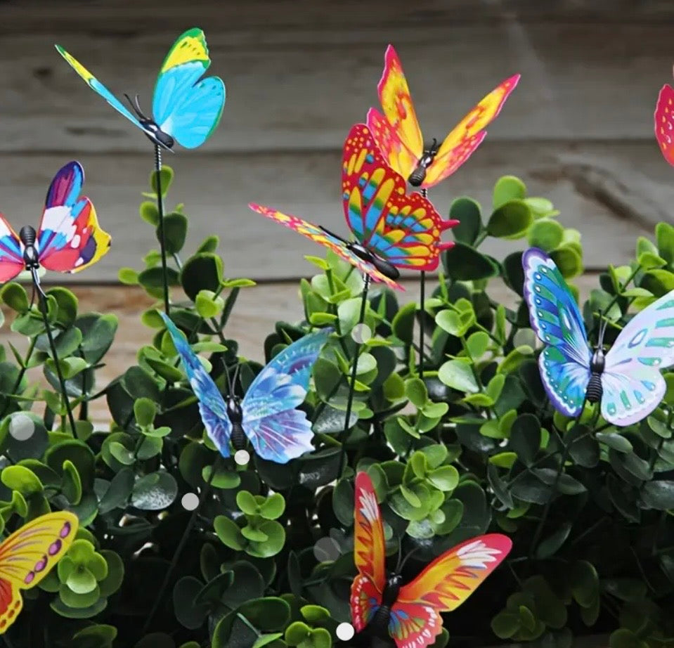 Glow In The Dark Butterfly's