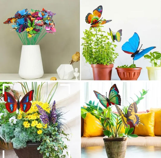 Garden Butterfly's