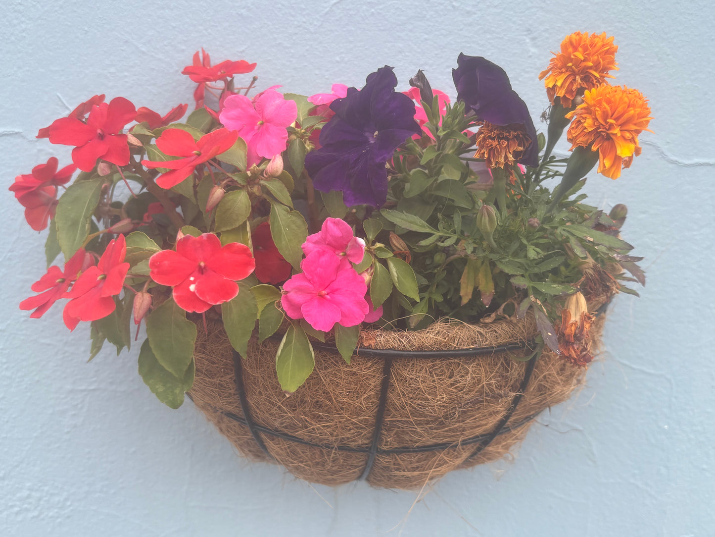 Half Moon Flower Baskets