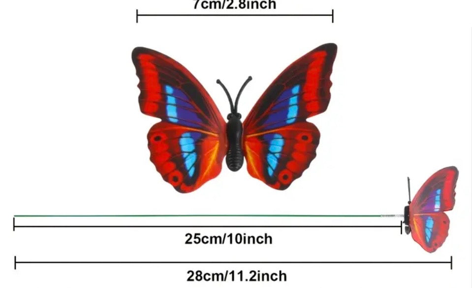 Garden Butterfly's