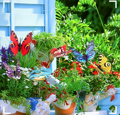 Garden Butterfly's