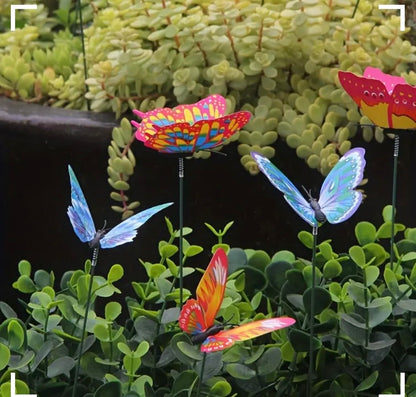Glow In The Dark Butterfly's