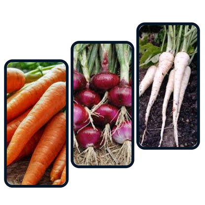 Veggie Root Box (Parsnips, Carrots & Onions)