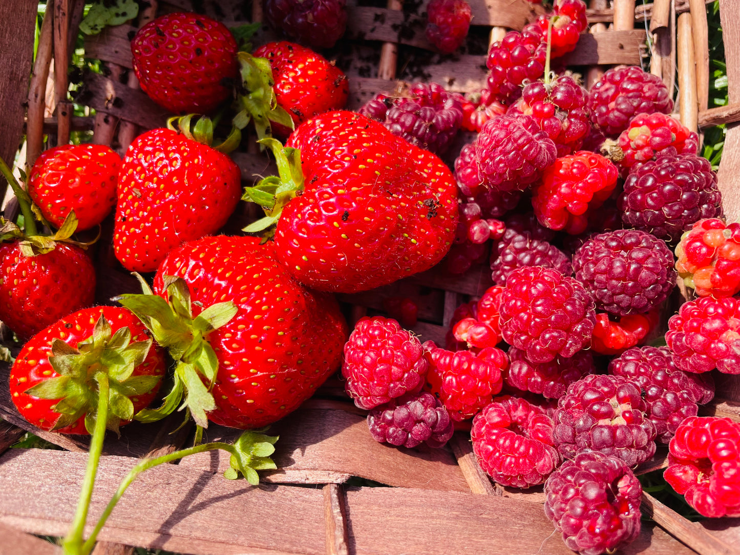 Strawberry skyscraper