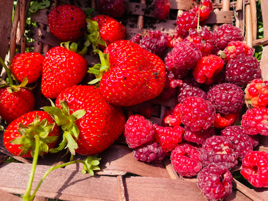 Strawberry skyscraper