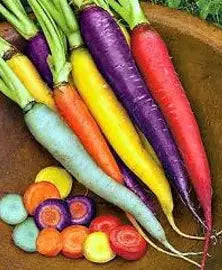 Crazy Carrot Box (Rainbow Carrots)