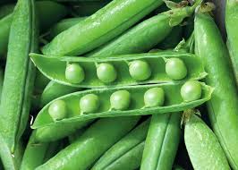 Junior Classic Veg Box (Carrots, Peas & Runner Beans)